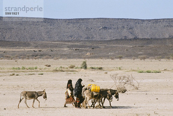 Ferne Frauen mit Esel tragen von Wasser in sehr trockenen Wüste Danakil-Senke  Äthiopien  Afrika