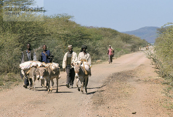 Der lange Weg zum Markt Samstag auf Sof Omar  Southern Highlands  Äthiopien  Afrika