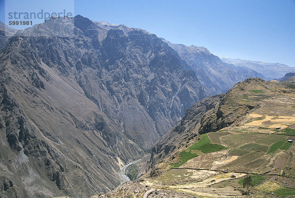Schlucht unterhalb Chivay  Colca Canyon  Peru  Südamerika