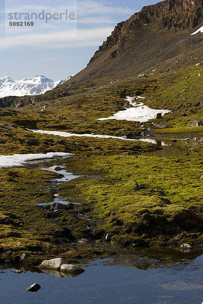 Gletscher Schnee schmelzen  Spitzbergen  Svalbard  Norwegen  Skandinavien  Europa