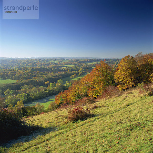 Blick vom North Downs  Dorking  Surrey  England  Vereinigtes Königreich  Europa