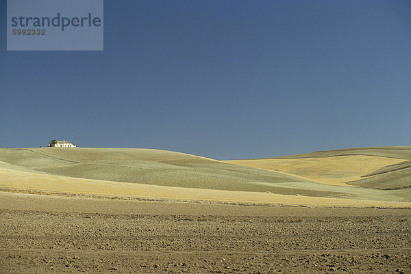 Landschaft ein Bauernhaus und gepflügter Felder und klaren  blauen Himmel  in der Nähe von Jaen  Andalusien (Andalusien)  Spanien  Europa