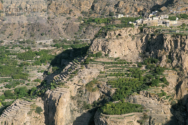 Dorf Al Ain  Al Jabal Al Akkar Region  Sultanat Oman  Mittlerer Osten