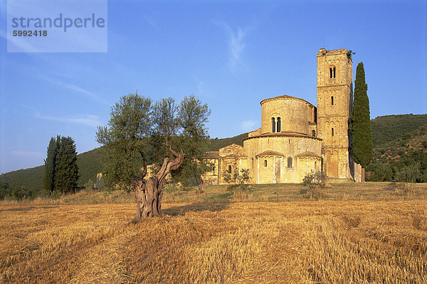 San Antimo Abtei  Provinz Siena  Toskana  Italien  Europa