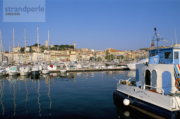 Hafen Frankreich Europa Provence - Alpes-Cote d Azur Alpes-Maritimes Cannes