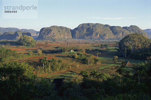 Landschaftsblick auf Wiesen und Bäumen im Tal  mit Hügeln jenseits  Tal von Vinales  UNESCO Weltkulturerbe  Kuba  Westindische Inseln  Mittelamerika