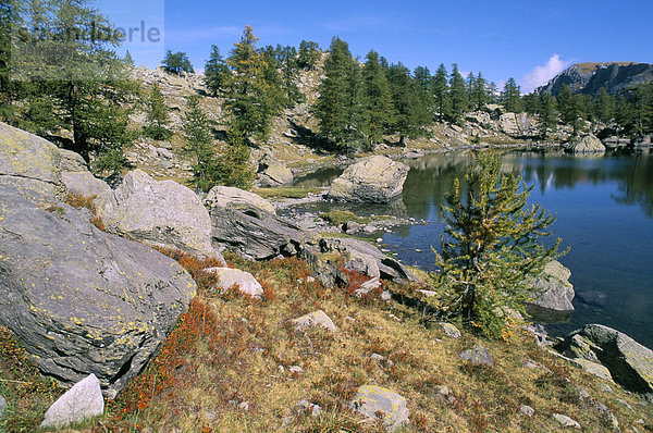 Vallee de Fontanalba  Pays des Merveilles  Mercantour Nationalpark  Alpes Maritimes  Provence  Frankreich  Europa