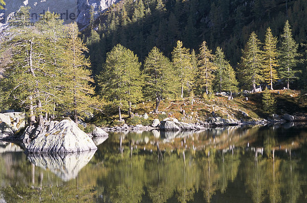 Vallee de Fontanalba  zahlt Merveilles  Nationalpark Mercantour  Alpes Maritimes  Provence  Frankreich  Europa