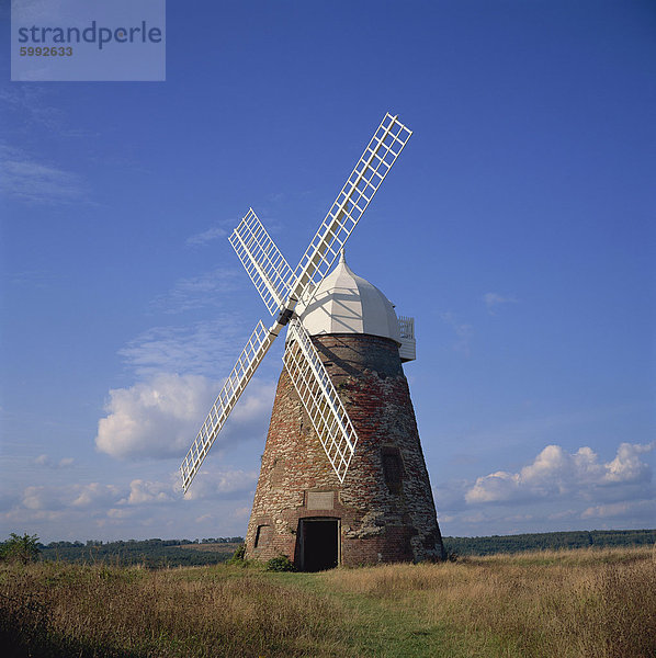 Halnaker Windmühle in Sussex  England  Vereinigtes Königreich  Europa