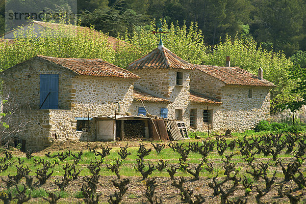 nahe Bauernhaus Frankreich Europa Außenaufnahme Stein Provence - Alpes-Cote d Azur Var Weinberg