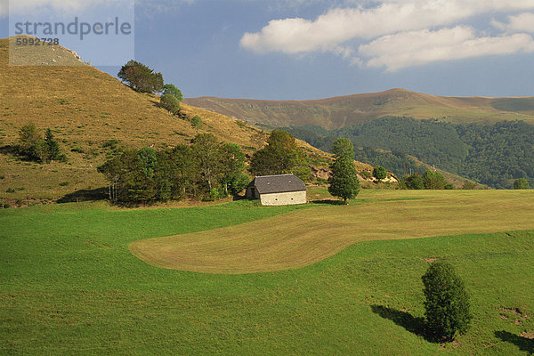 Ruhige Szene in landwirtschaftliche Landschaft von Ackerland und Hügeln nahe Salers  Cantal  in der Auvergne  Frankreich  Europa