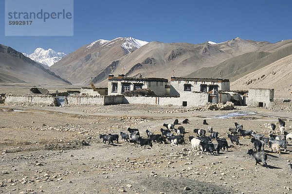 Dorf im Ra Tal oberhalb von Tingri  Cho Oyu und Himalaya in Distanz  Tibetanische Hochebene  Tibet  China  Asien