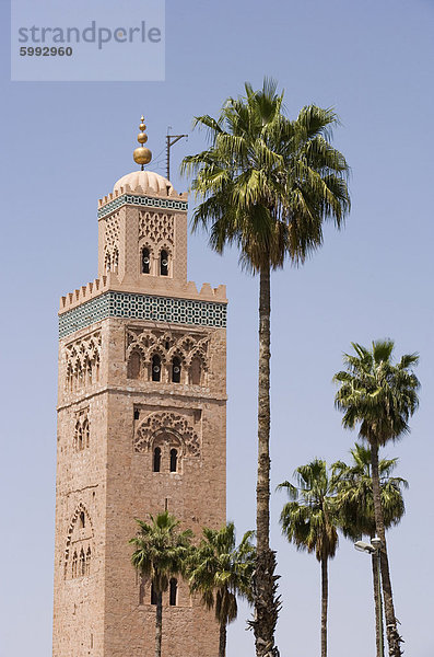 Minarett und Palmen Bäume  die Koutoubia-Moschee  Marrakesch  Marokko  Nordafrika  Afrika