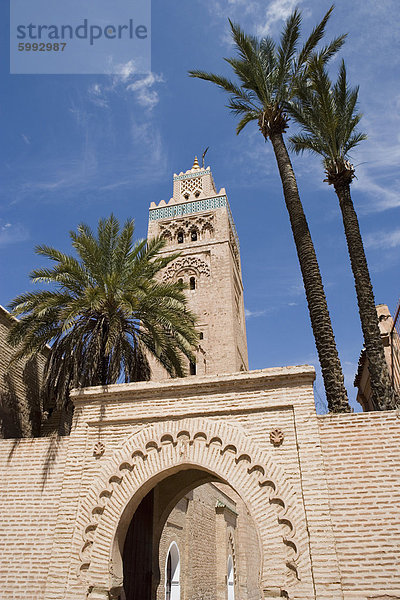 Koutoubia Moschee  Minarett und Palmen Bäume  Marrakesch  Marokko  Nordafrika  Afrika