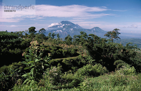 Website von Gedong Songo  Insel von Java  Indonesien  Südostasien  Asien