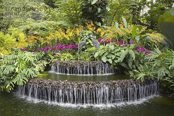 Kranich Außenaufnahme Springbrunnen Brunnen Fontäne Fontänen Skulptur Wachstum Dekoration Garten umgeben Orchidee Südostasien Botanik Asien Turmkran Zierbrunnen Brunnen Singapur