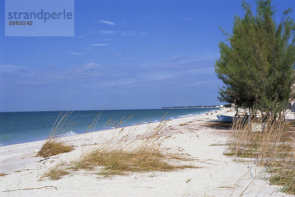 Strand  Anna Maria Island  Golfküste  Florida  Vereinigte Staaten von Amerika  Nordamerika