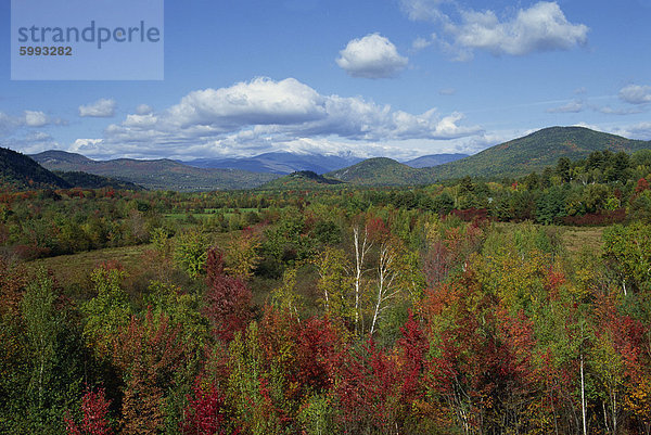 Landschaft  Wald  Bäume im (Herbst) Herbstfarben  mit Hügeln im Hintergrund in New England  Vereinigte Staaten von Amerika  Nordamerika