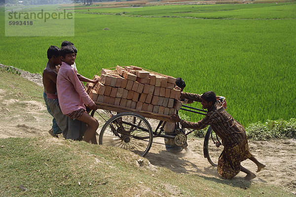 Eine Gruppe junger Männer ziehen ein Zyklus Rickshaw geladen mit Backsteinen auf einem Hang aus einem Reisfeld in Bangladesch  Asien