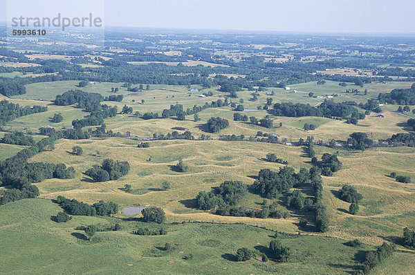 Doline Plain  polygonale Doline Karst  in der Nähe von Mammoth Cave  Kentucky  Vereinigte Staaten von Amerika  Nordamerika