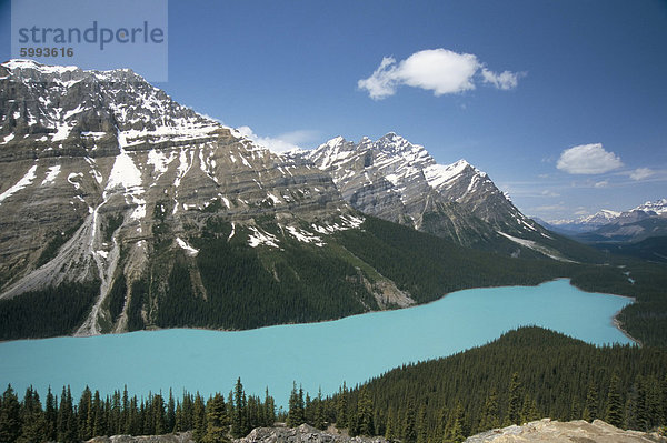 Peyto Lake  gefärbt durch Kiesel  Banff-Jasper-Nationalparks  Kanada  Nordamerika