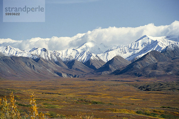 Schneegrenze auf Alaska Range  Denali Nationalpark  Alaska  Vereinigte Staaten von Amerika  Nordamerika