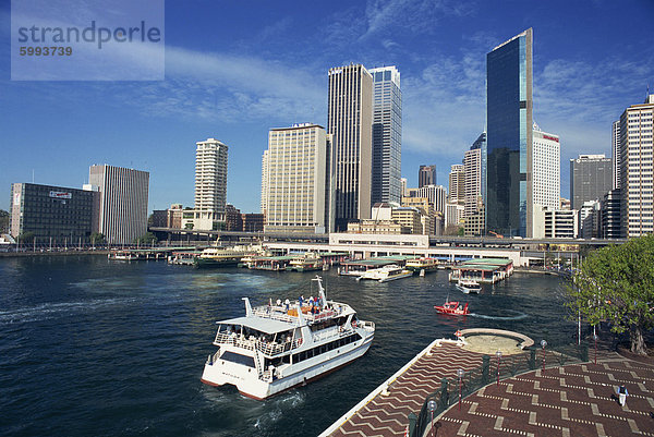 Der Hafen und die Stadt Skyline von Sydney  New South Wales  Australien  Pazifik
