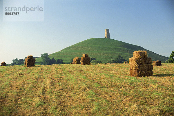 Geerntete Felder vor dem Glastonbury Tor  Somerset  England  Vereinigtes Königreich  Europa