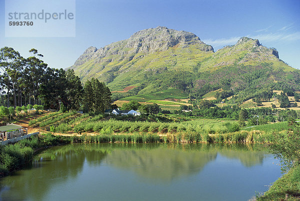 Ländliche szenische in der Nähe von Stellenbosch  Kapprovinz  Südafrika  Afrika