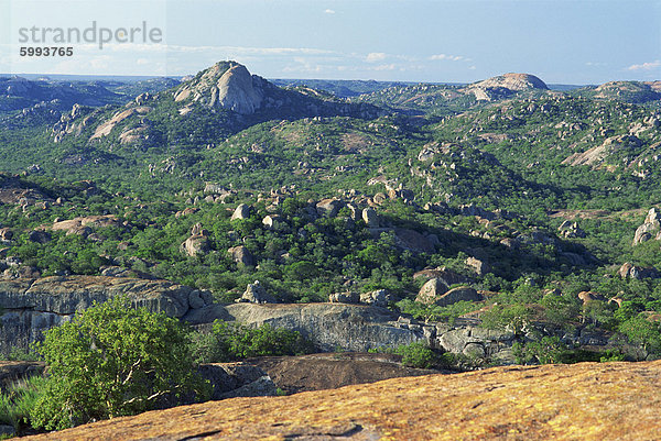 South Rhodes Matopos Nationalpark  Zimbabwe  Afrika