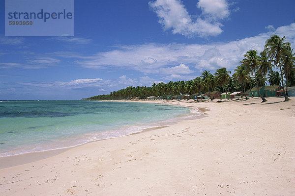 Strand Hütten und Palmen säumen einen leeren Strand auf der Isla Saona  Dominikanische Republik  Karibik  Karibik  Mittelamerika