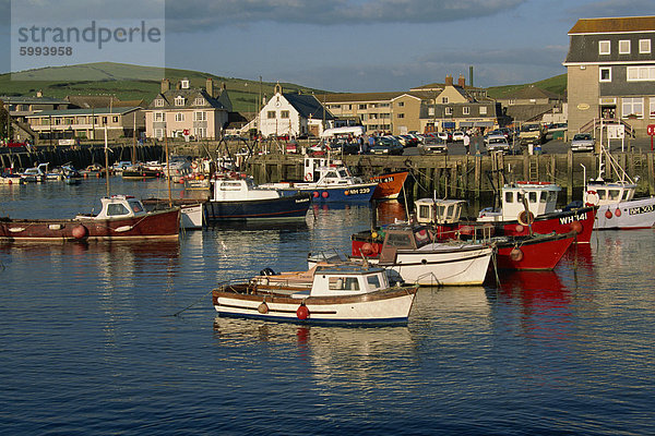 Boote vor Anker im Hafen von West Bay  Dorset  England  Vereinigtes Königreich  Europa