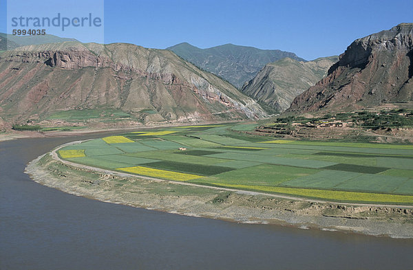 Raps und Gerste Felder durch den Gelben Fluss in Lajia  Provinz Qinghai  China  Asien