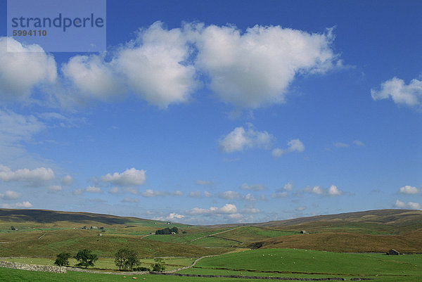 Weiße Wolken und blauem Himmel über Dales Landschaft nahe Ribble Head  North Yorkshire  England  Vereinigtes Königreich  Europa