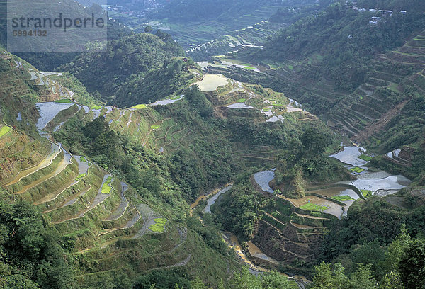 Reihenhaus Banaue Reis Felder  UNESCO-Weltkulturerbe  Nordbereich  Insel Luzon  Philippinen  Südostasien  Asien