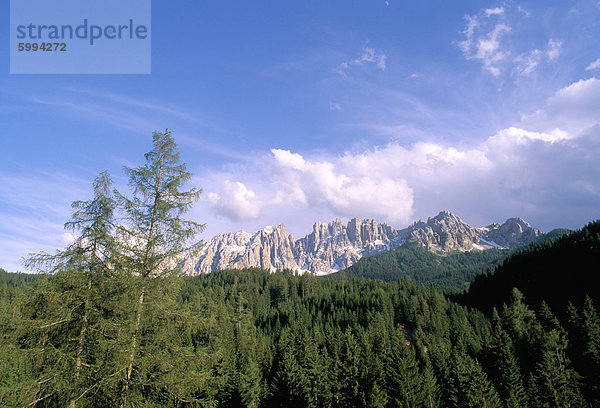 Gipfel des Latemar Auswahl  Dolomiten  Südtirol  Italien  Europa