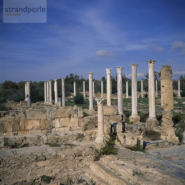 Spalten der hellenistische Gymnasium von den Römern wiederaufgebaut und Palaestra Übung geschliffen  in Salamis  wichtigste Stadt Zyperns zwischen 1075 v. Chr. bis 650 n. Chr.  Nord-Zypern  Europa