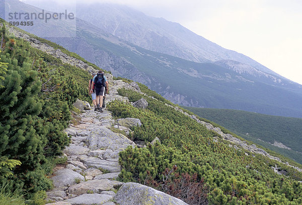 Wanderer zu Fuß entlang Tatranska Magistrala Trail in Vysoke Tatry Bergen  Vysoke Tatry  Slowakei  Europa