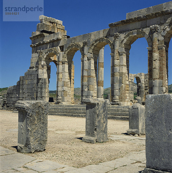 Römische Ruinen  Volubilis  UNESCO-Weltkulturerbe  Marokko  Nordafrika  Afrika