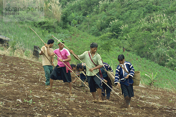 Lahu Männer und Frauen  die Aussaat der Samen in einem geneigten Feld in der Nähe von Chiang Mai  Thailand  Südostasien  Asien