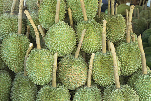 Durian Frucht aufgeschichtet zu verkaufen in Bangkok  Thailand  Südostasien  Asien