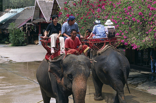 Touristen Reiten auf Elefanten  im Rosengarten bei Nakhon Pratom in Thailand  Südostasien  Asien