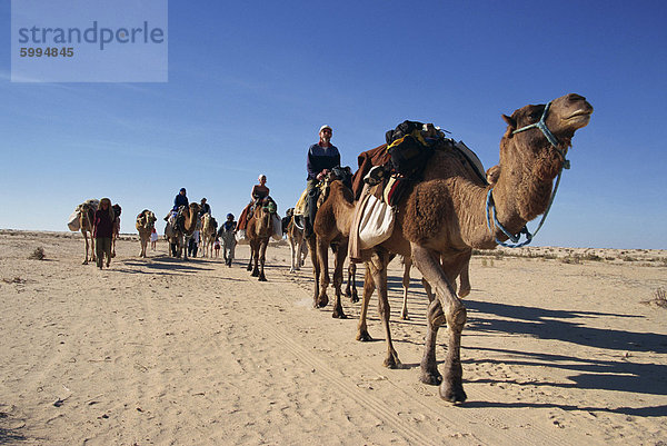 Touristen auf Kamel-Trekking  in der Nähe von Douz  Sahara Wüste  Tunesien  Nordafrika  Afrika