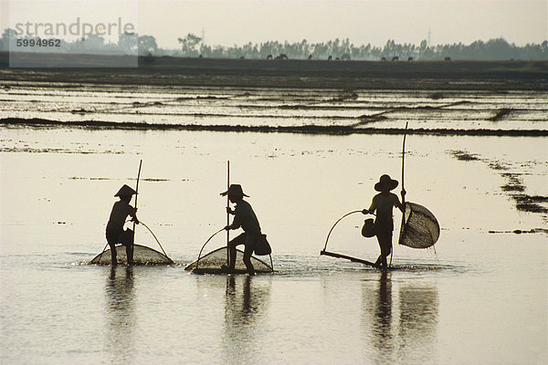 Silhouetten der drei Fischer in überfluteten Feldern in Vietnam  Indochina  Südostasien  Asien