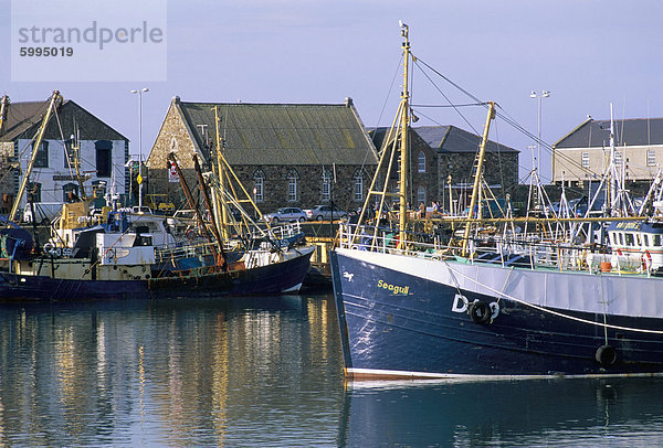 Angeln Hafen von Howth  nördlich der Bucht von Dublin  County Dublin Eire (Irland)  Europa