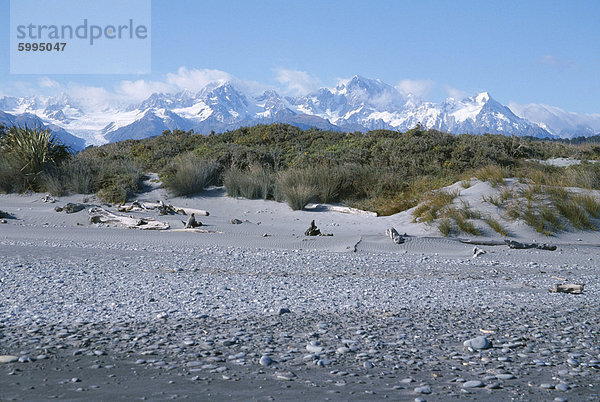 Blick vom Strand der Westküste von Wald und Fox Glacier  Südalpen  Westland  Südinsel  Neuseeland  Pazifik