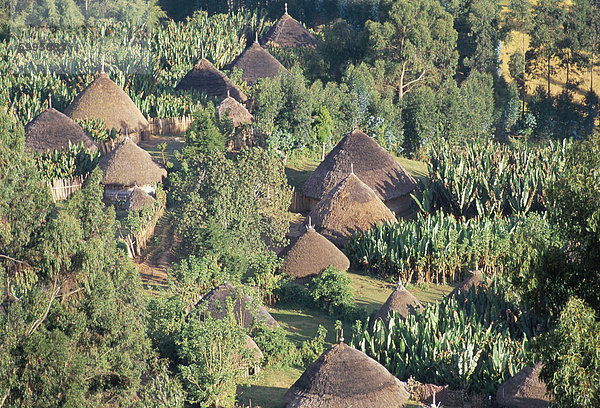 Ort im Land der Gourague  Hosana Region  Provinz Shoa  Äthiopien  Afrika