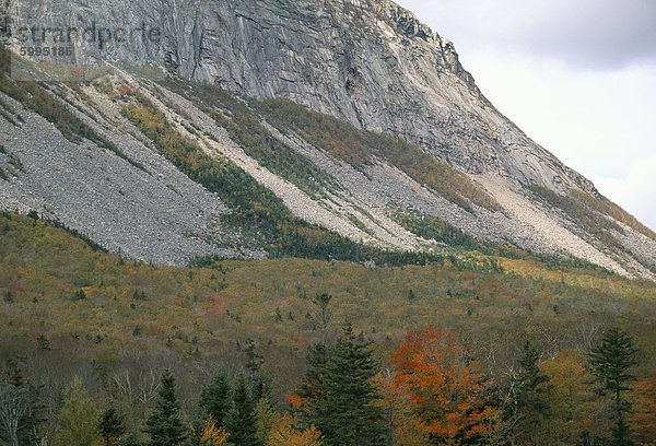 Berg und Bäume im Herbst fall ()  White Mountain National Forest  New Hampshire  New England  Vereinigte Staaten von Amerika  Nordamerika