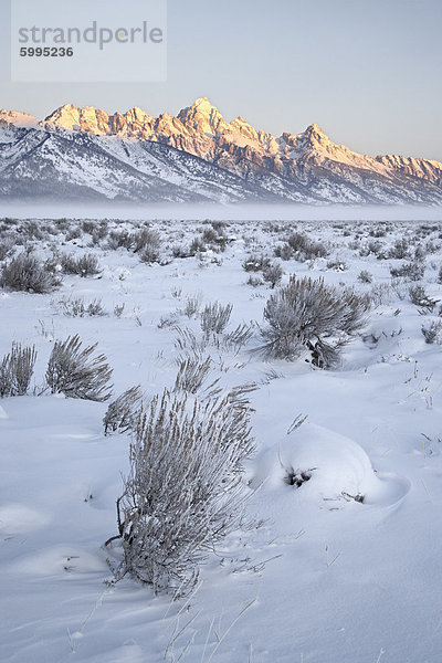 Teton Range am ersten Licht im Winter  Grand-Teton-Nationalpark  Wyoming  Vereinigte Staaten von Amerika  Nordamerika