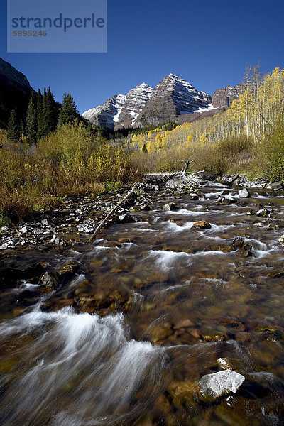 Dampfkastanien Sie-Glocken und Maroon Creek mit Herbstfarben  Colorado  Vereinigte Staaten von Amerika  Nordamerika